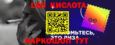 сатива Кингисепп