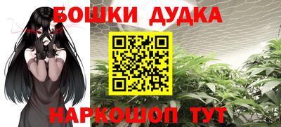 сатива Кингисепп
