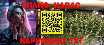 сатива Кингисепп