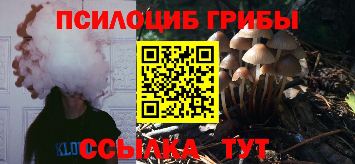 Галлюциногенные грибы мицелий  Вход с VPN  даркнет сайт  Галлюциногенные грибы Cubensis  Междуреченск 